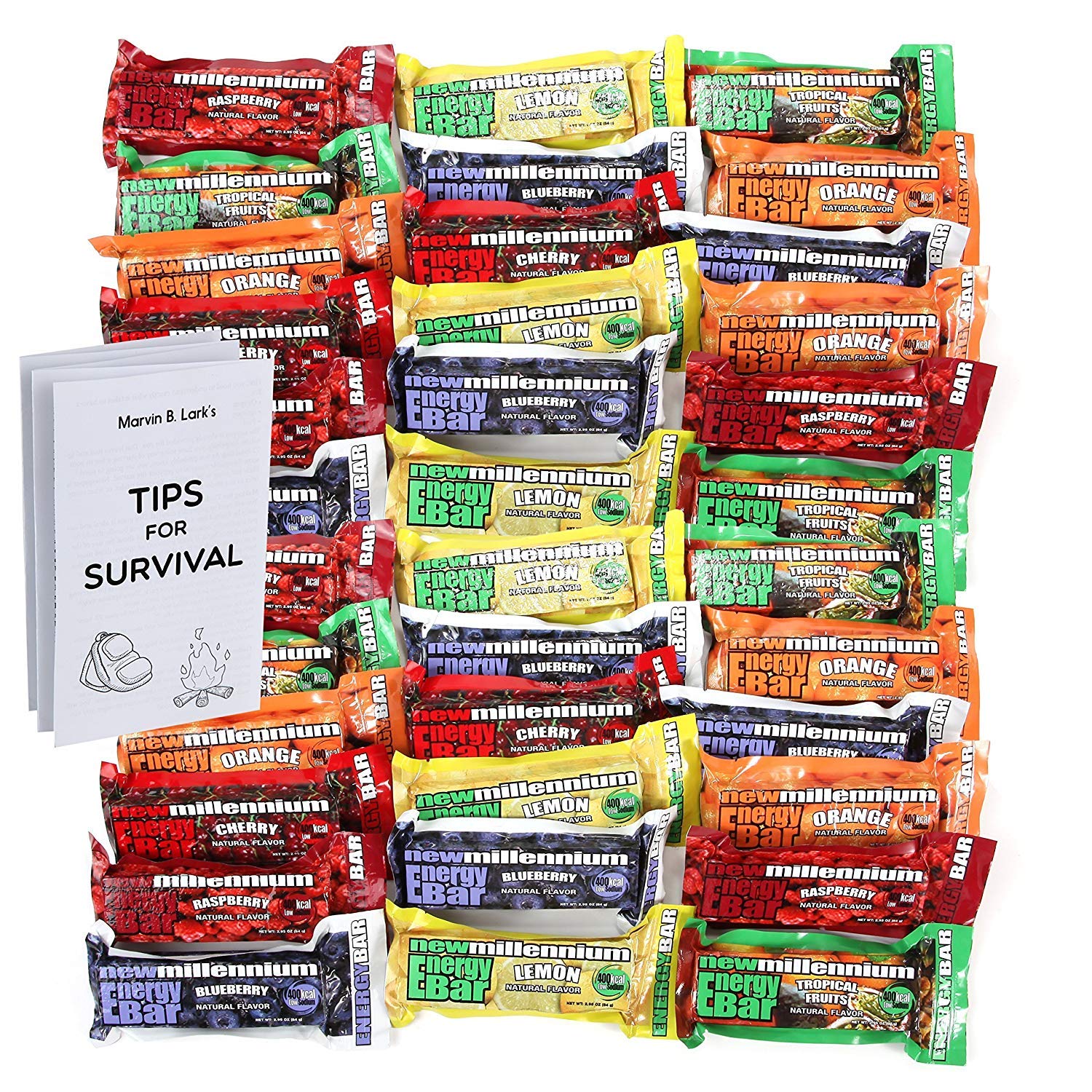 Millennium Assorted Energy Bars (6 Count) - Long Shelf Life Fruit flavored Bar Bundle - Survival Pack for Calamity, Disaster, Hiking and Meal replacement