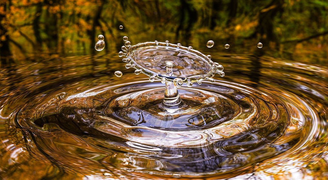 Water: The Most Crucial Element For Survival